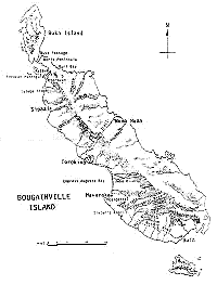 bougainville.gif (6657 bytes)